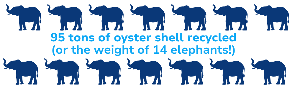 Graphic of elpehants shell recycling stats on it